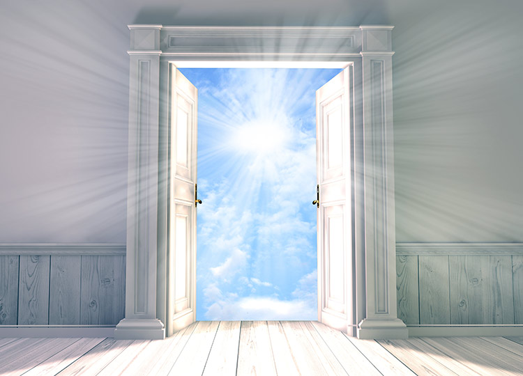 DOOR LIGHT